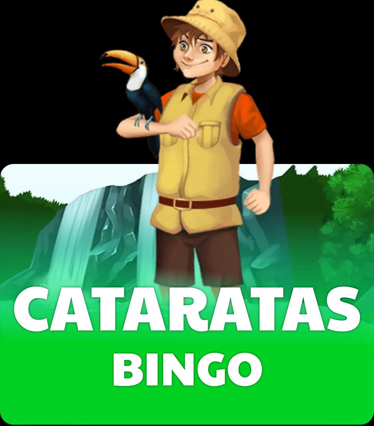 Cataratas Bingo