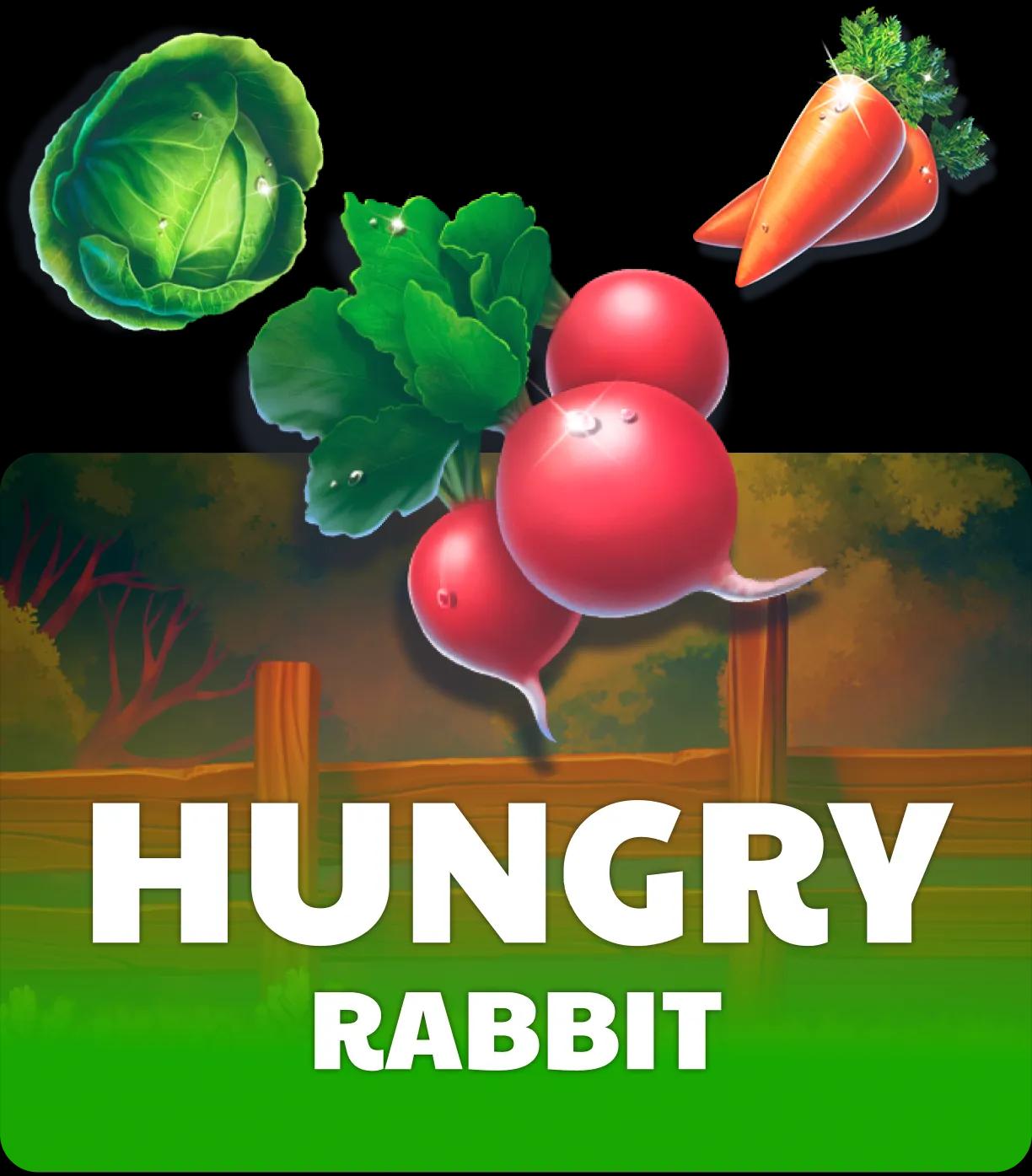 Hungry Rabbit