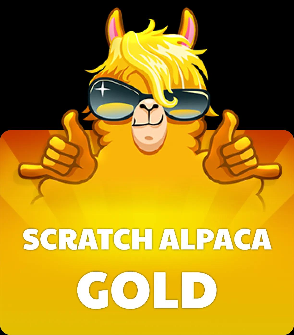 Scratch Alpaca Gold