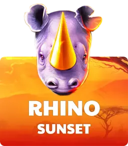 Rhino Sunset